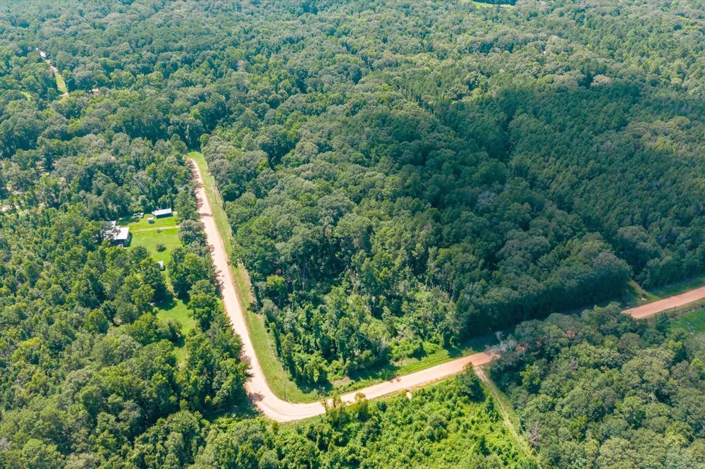 Magnolia Creek Dr Cleveland, TX 77328