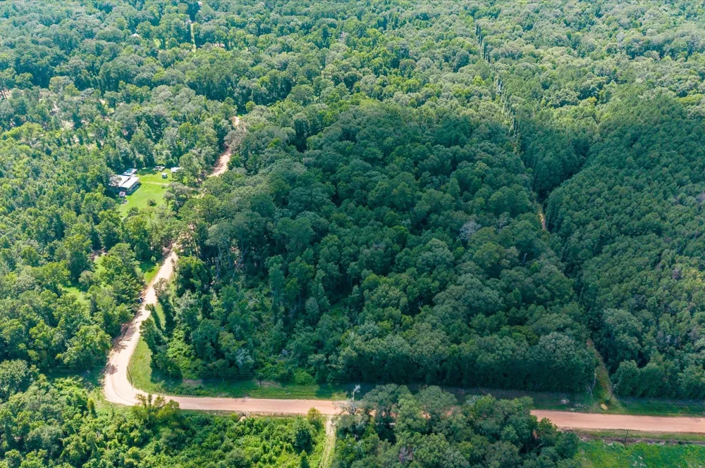Magnolia Creek Dr Cleveland, TX 77328