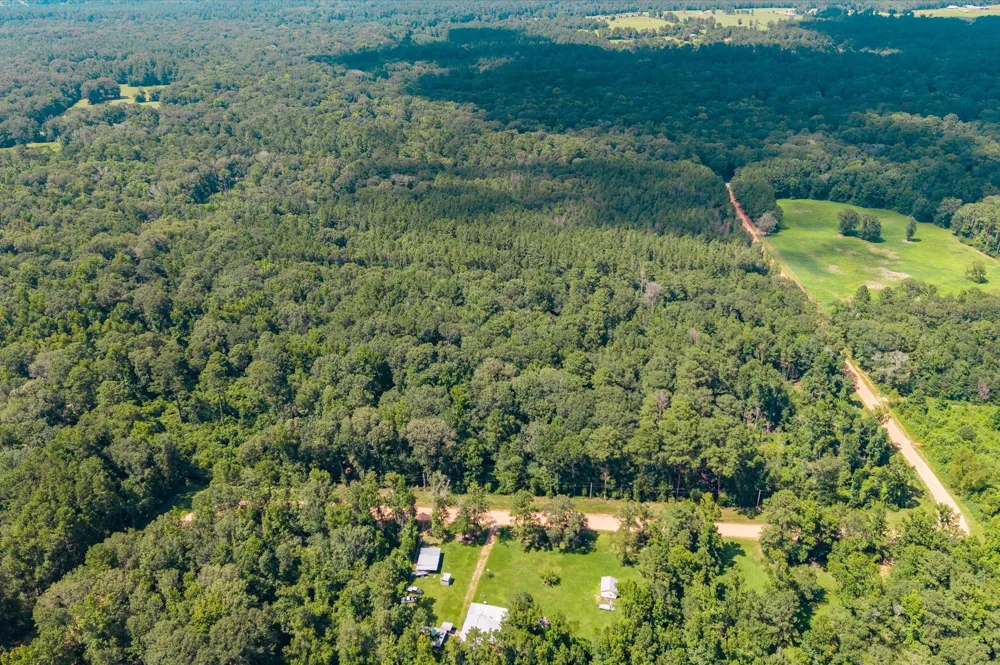 Magnolia Creek Dr Cleveland, TX 77328