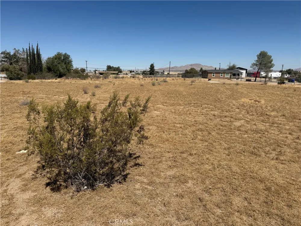 Cholame Victorville, CA 92392