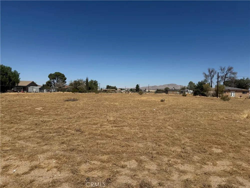 Cholame Victorville, CA 92392