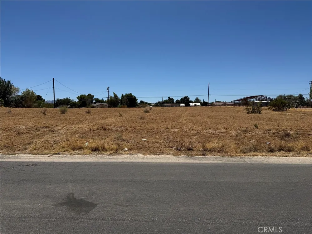 Cholame Victorville, CA 92392
