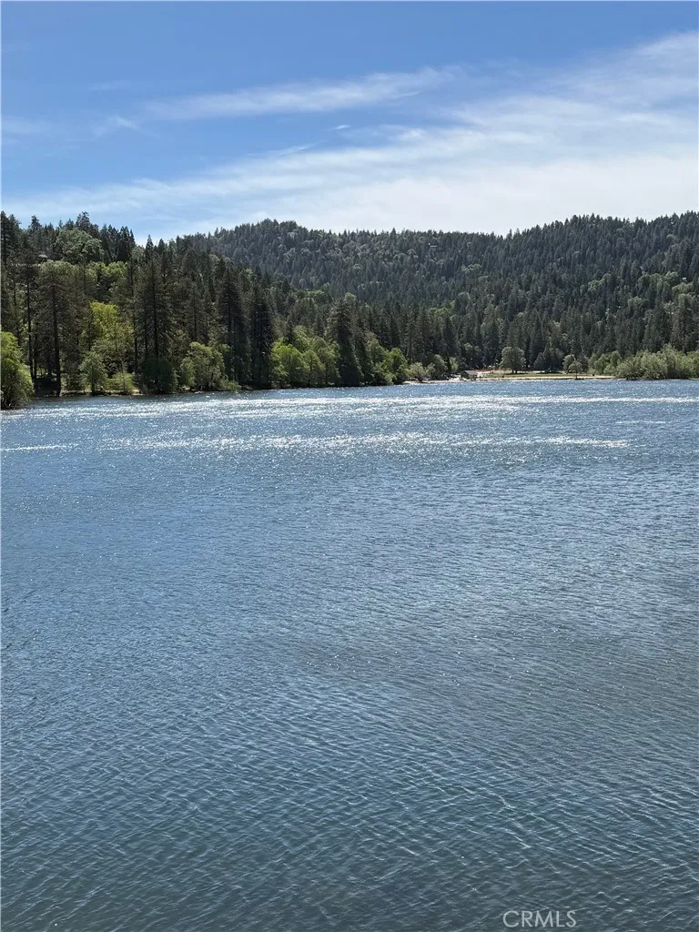 785 County (AROSA) Drive Crestline, CA 92325