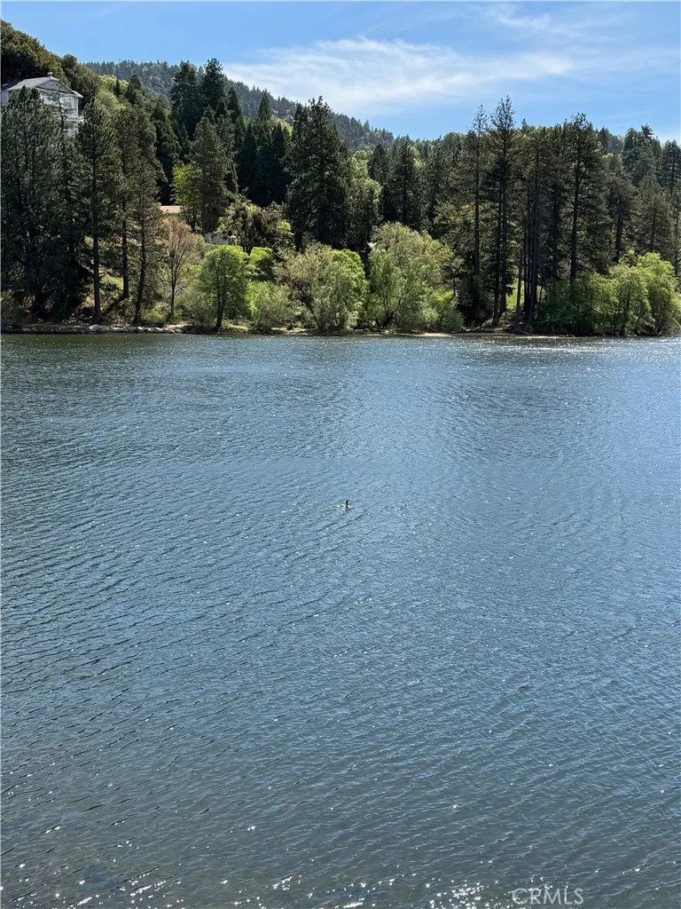 785 County (AROSA) Drive Crestline, CA 92325