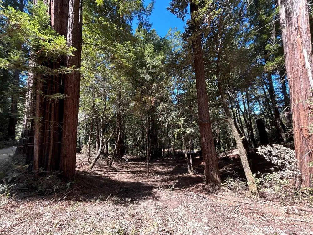 42851 Soda Springs Road Annapolis, CA 95412