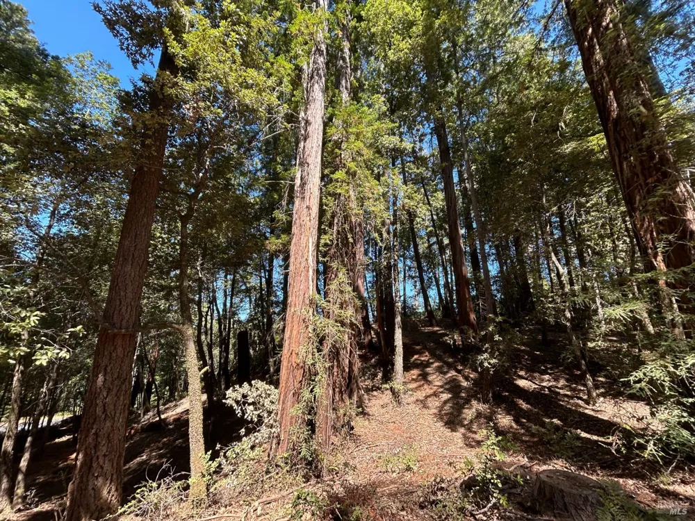 42851 Soda Springs Road Annapolis, CA 95412