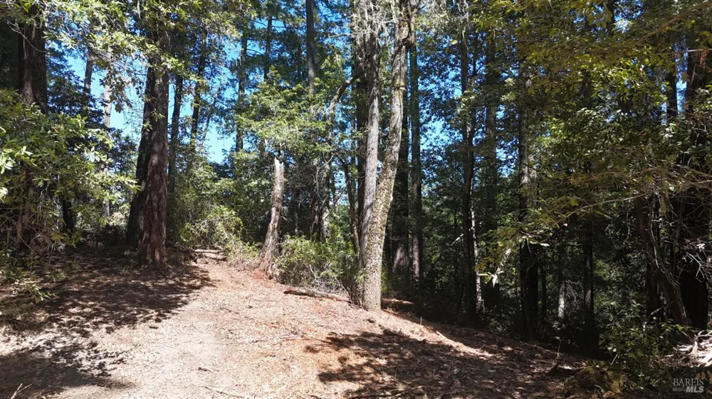 42851 Soda Springs Road Annapolis, CA 95412