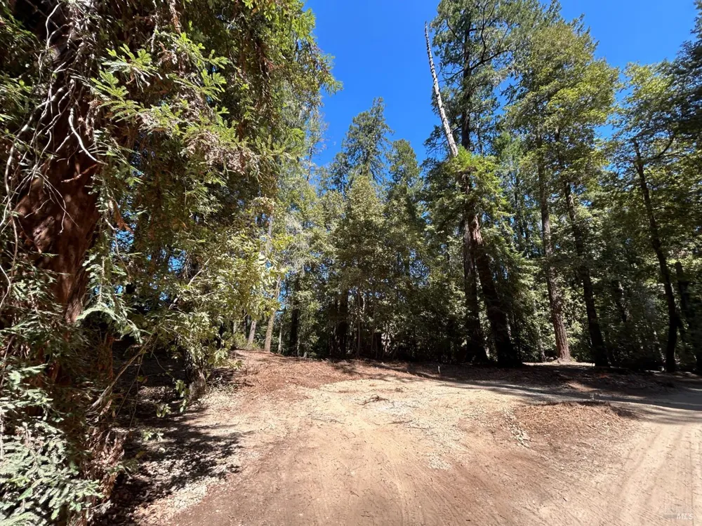 42851 Soda Springs Road Annapolis, CA 95412