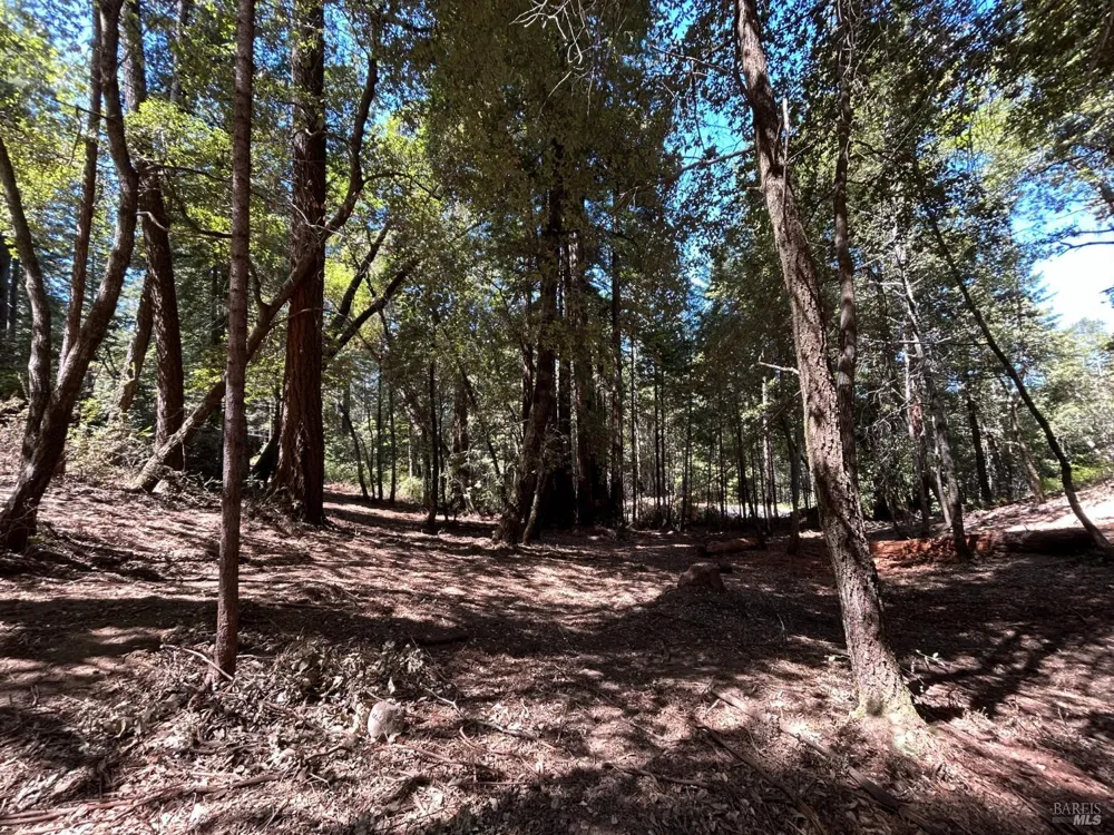 42851 Soda Springs Road Annapolis, CA 95412