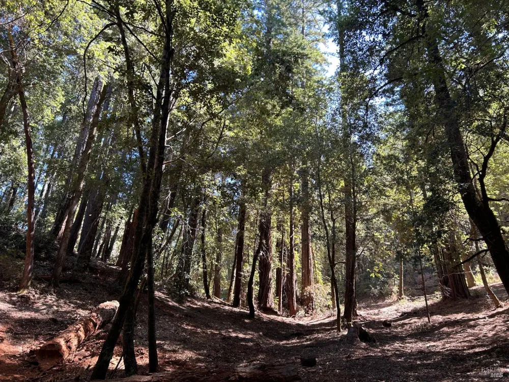 42851 Soda Springs Road Annapolis, CA 95412