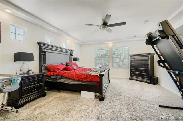 4964 Malaya Street Denver, CO 80249