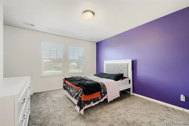 4964 Malaya Street Denver, CO 80249
