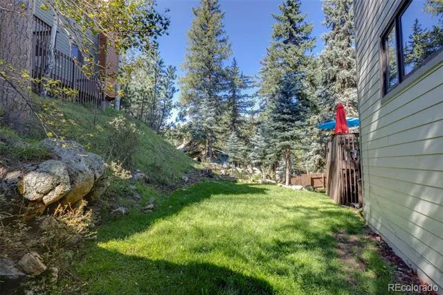 4875 Silver Spruce Lane Evergreen, CO 80439