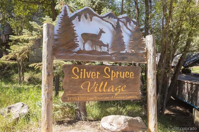4875 Silver Spruce Lane Evergreen, CO 80439
