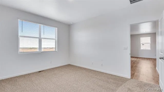 5625 Gelbray Place Windsor, CO 80528
