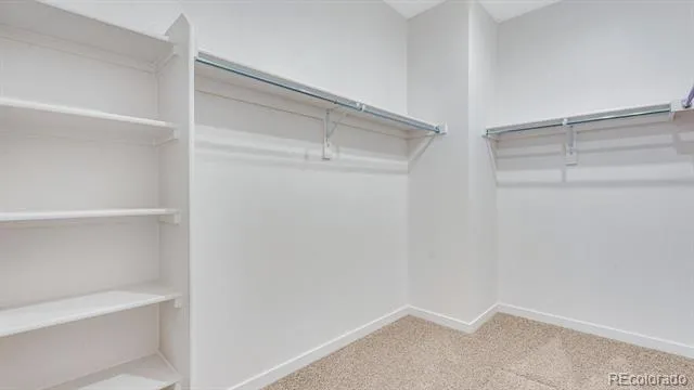 5625 Gelbray Place Windsor, CO 80528