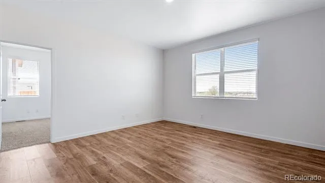 5625 Gelbray Place Windsor, CO 80528
