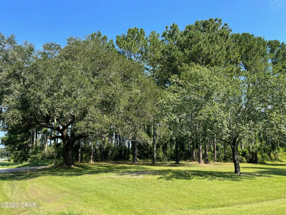 4630 Canary Road Graceville, FL 32440