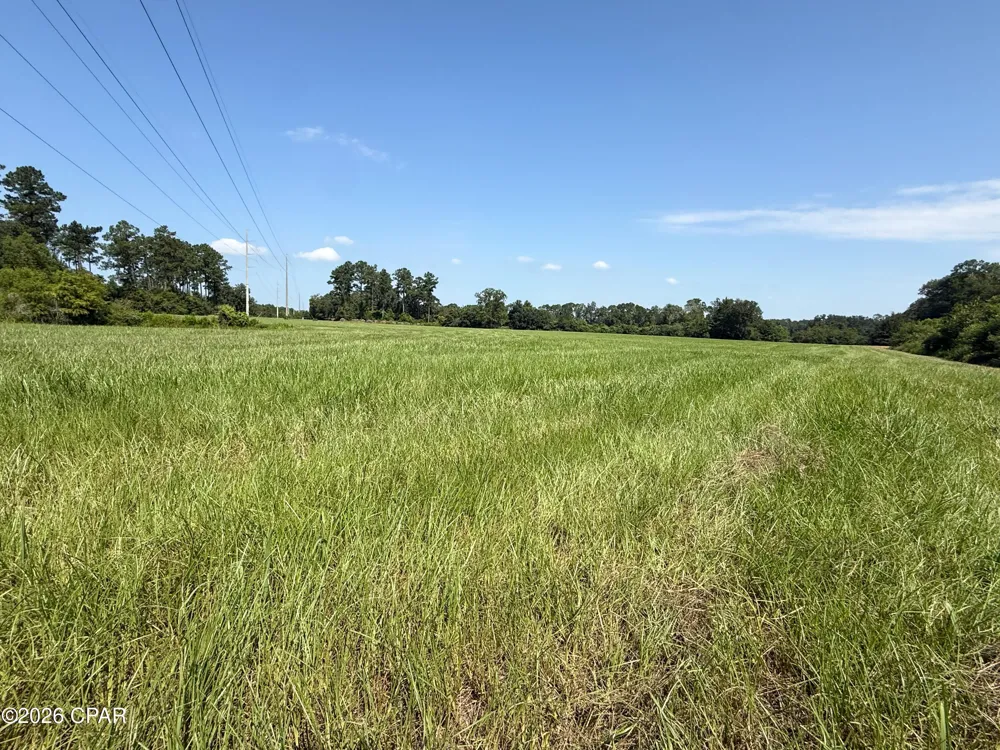 4630 Canary Road Graceville, FL 32440