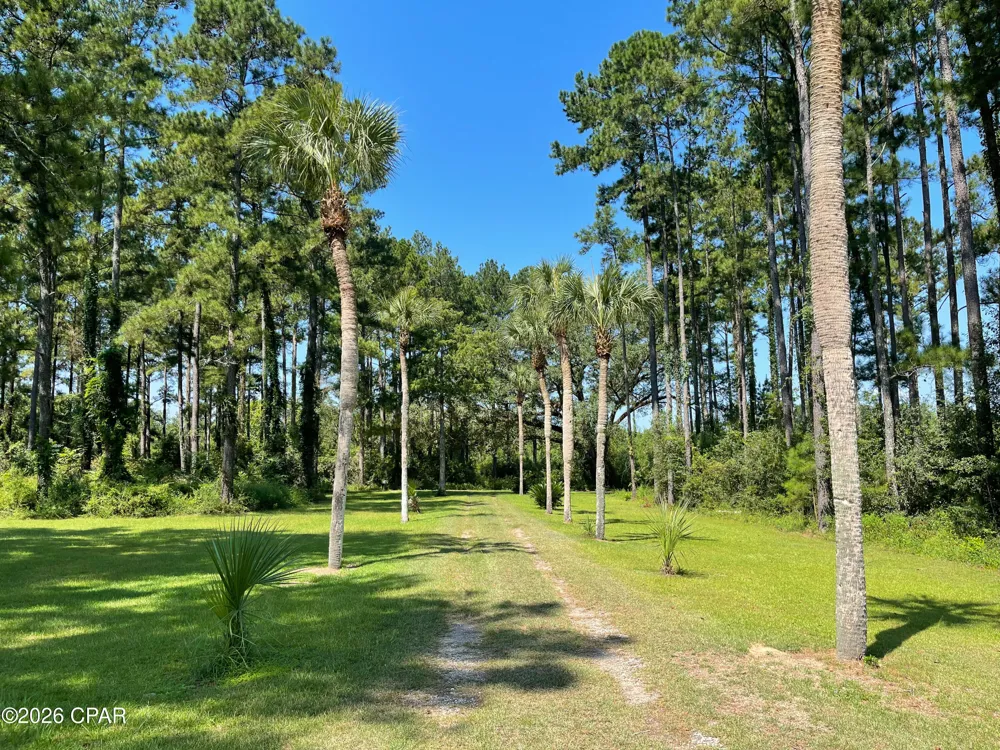 4630 Canary Road Graceville, FL 32440