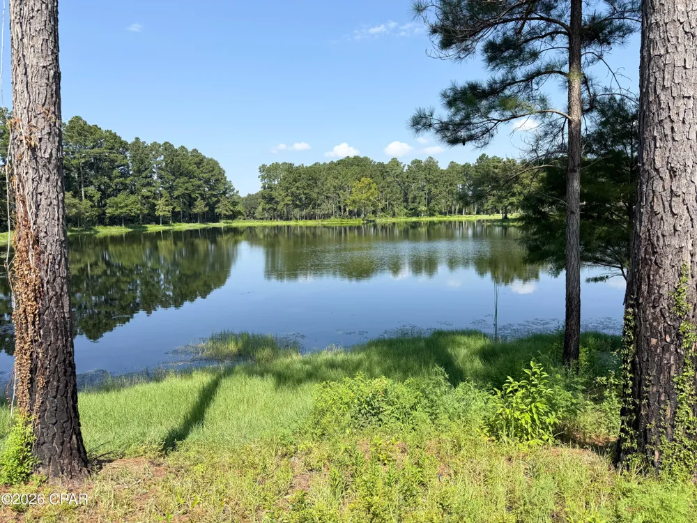 4630 Canary Road Graceville, FL 32440