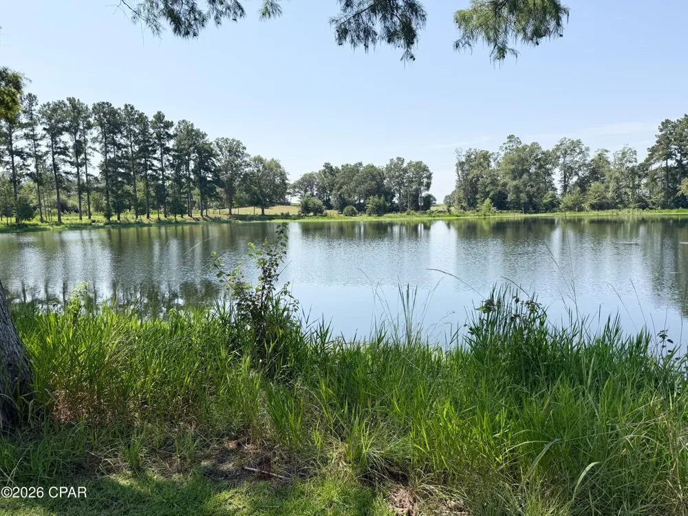 4630 Canary Road Graceville, FL 32440