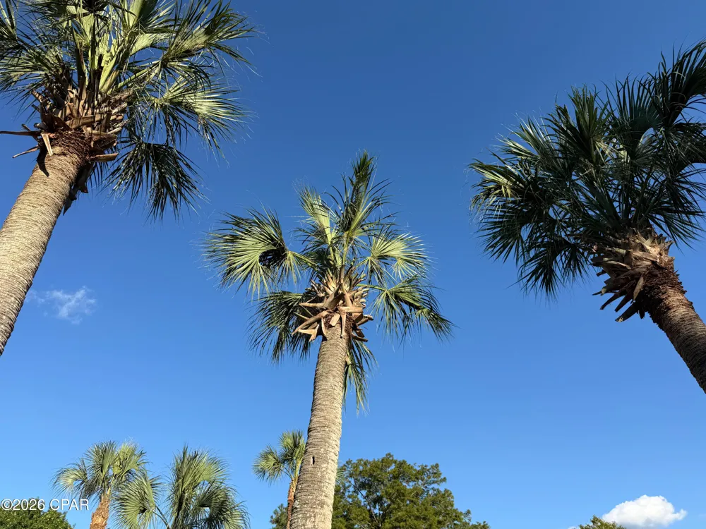 4630 Canary Road Graceville, FL 32440