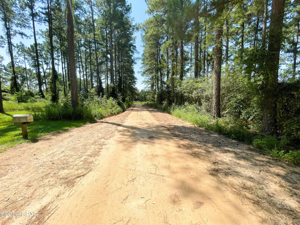 4630 Canary Road Graceville, FL 32440