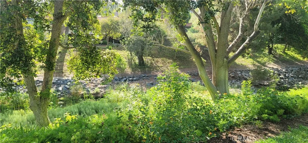 931 Avenida Majorca #A Laguna Woods, CA 92653