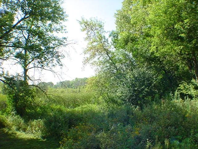 1010 Kirkwood Lane Plymouth, MN 55441