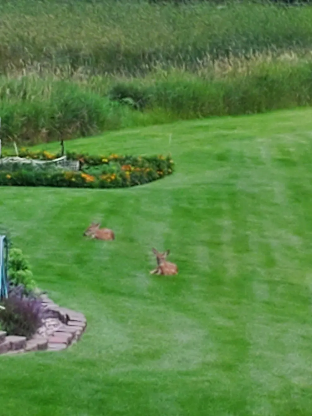 4460 Timber Shores Court SW Alexandria, MN 56308