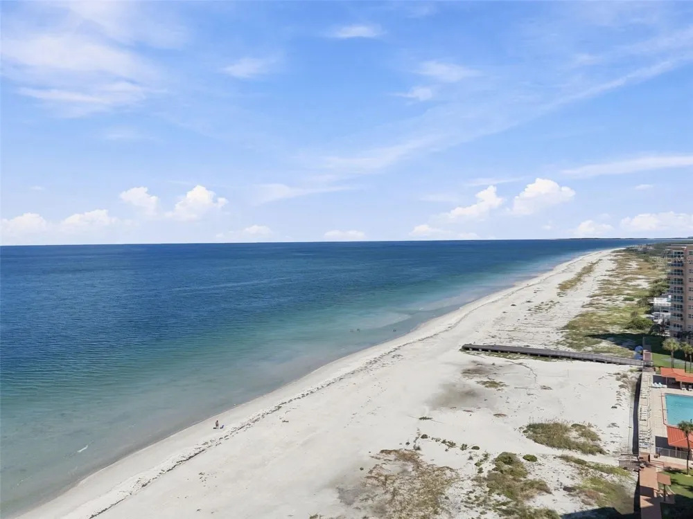 880 MANDALAY AVENUE #S507 Clearwater, FL 33767