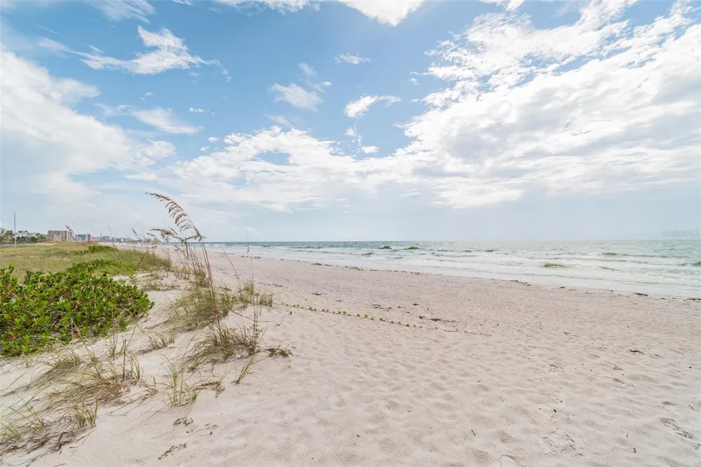880 MANDALAY AVENUE #S507 Clearwater, FL 33767
