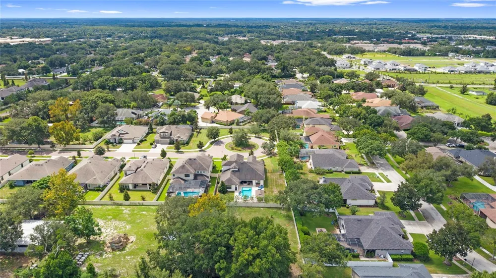 1404 HAMLIN RIDGE AVENUE Valrico, FL 33596