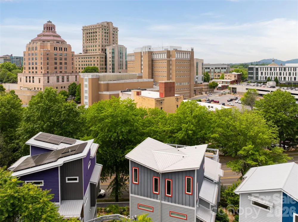 8 Birdhouse Row Asheville, NC 28801