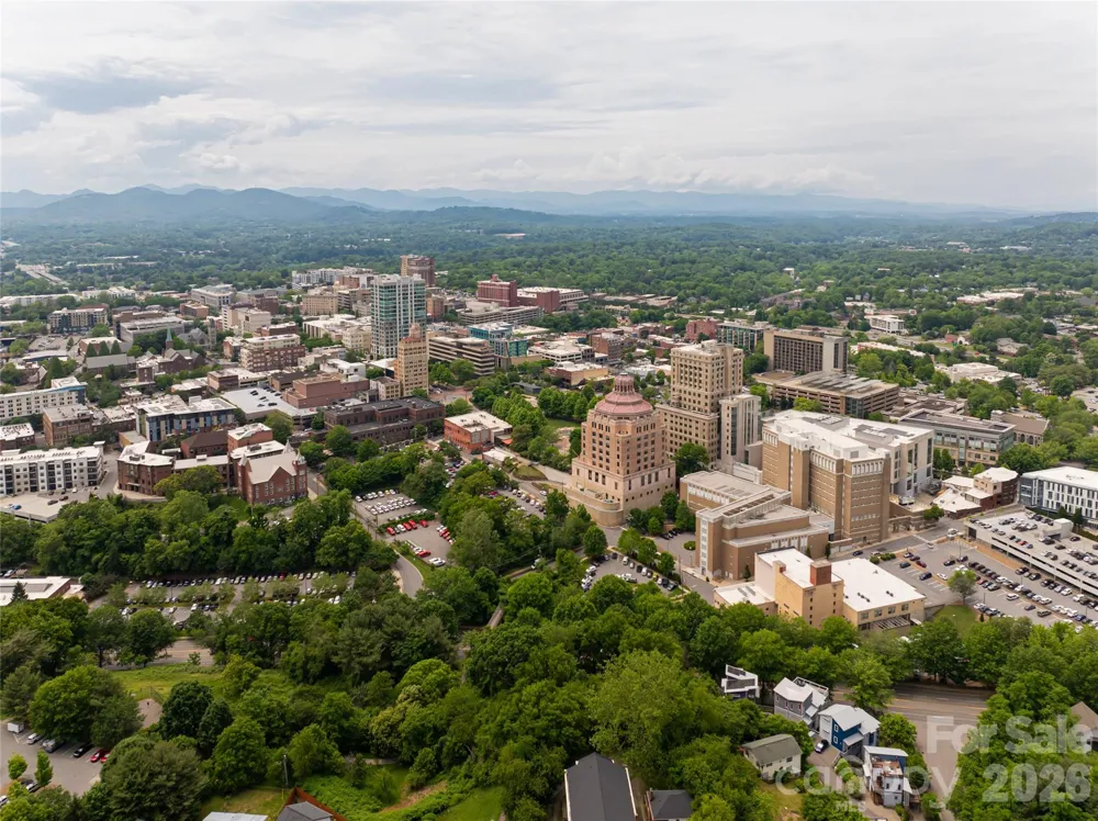 8 Birdhouse Row Asheville, NC 28801