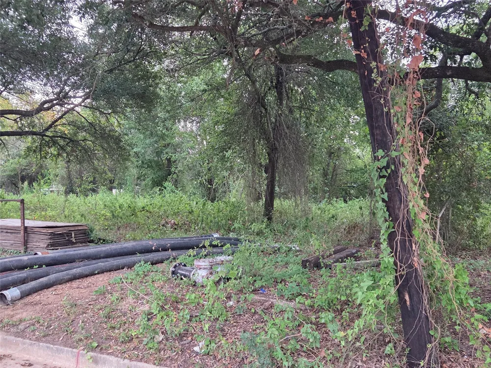 109 S San Jacinto Street Conroe, TX 77301