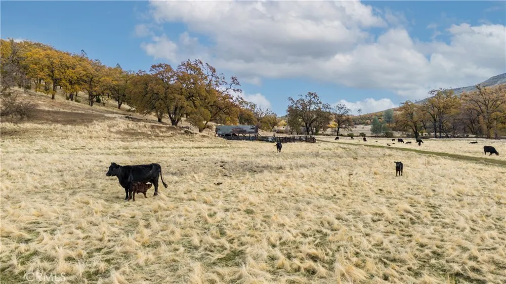 11158 Rocky Creek Road Lower Lake, CA 95457