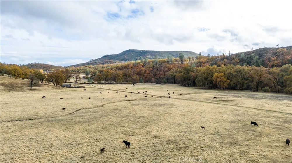 11158 Rocky Creek Road Lower Lake, CA 95457