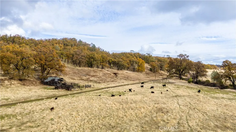11158 Rocky Creek Road Lower Lake, CA 95457