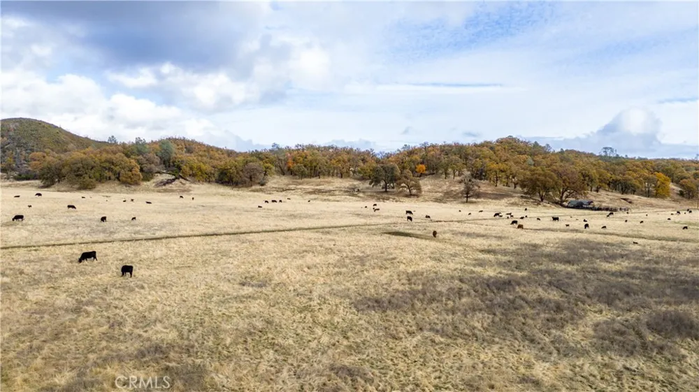 11158 Rocky Creek Road Lower Lake, CA 95457
