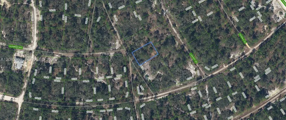379 Blue Horizon  Drive Lake Placid, FL 33852