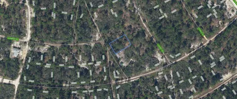 379 Blue Horizon  Drive