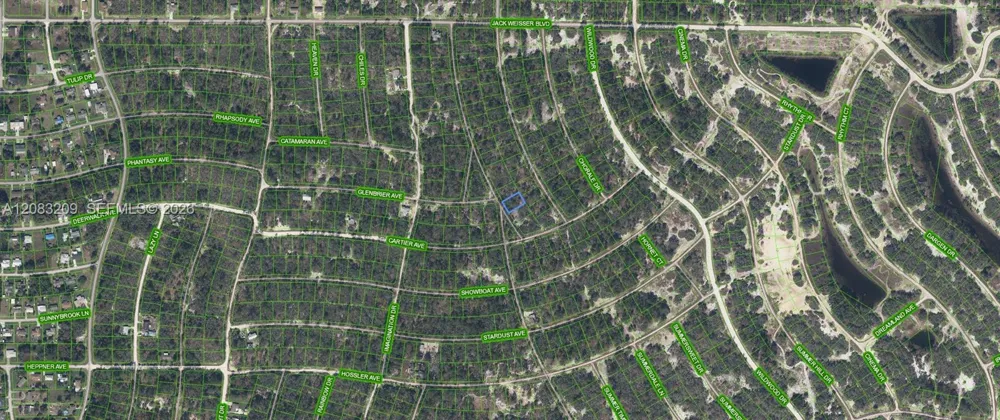 379 Blue Horizon  Drive Lake Placid, FL 33852