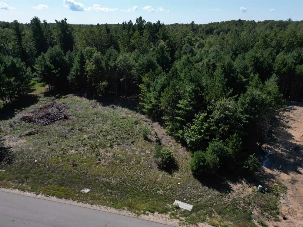 6459 Jeffrey Place Green Lake Township, MI 49637