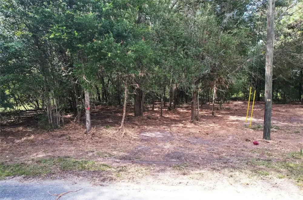 8746 CATAPANE LOOP Crystal River, FL 34428