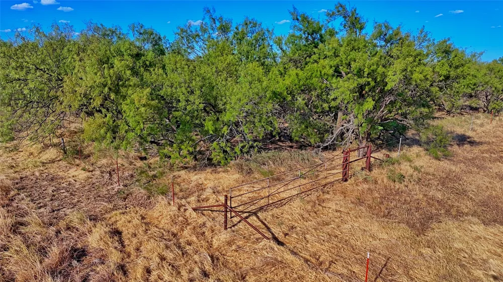 FM 172 Bluegrove, TX 76352