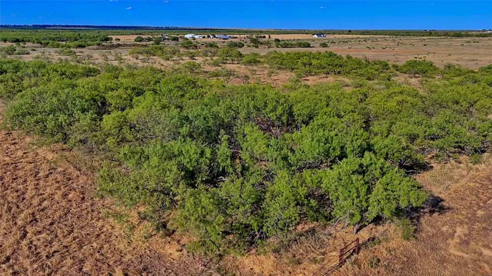 FM 172 Bluegrove, TX 76352