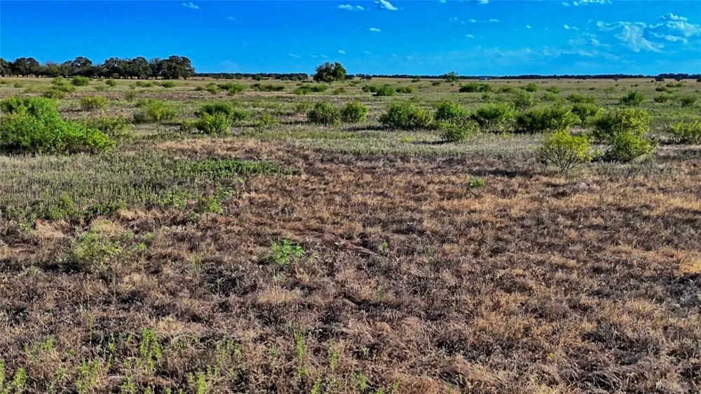 FM 172 Bluegrove, TX 76352