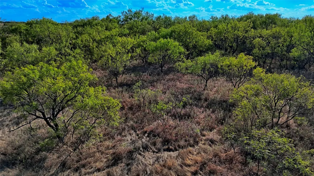 FM 172 Bluegrove, TX 76352